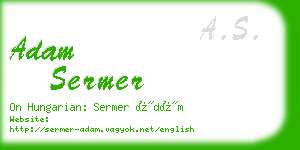 adam sermer business card